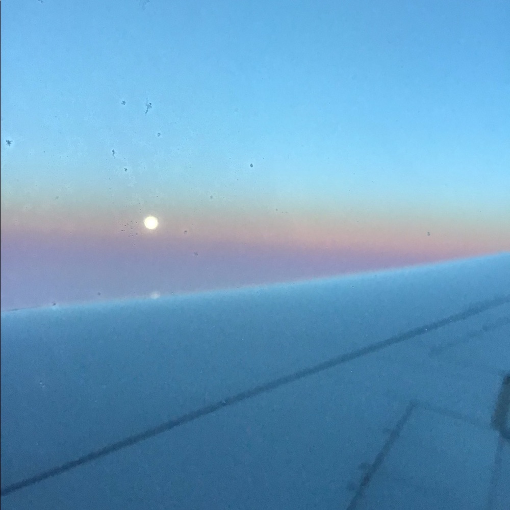 Meet your Posher, Irene